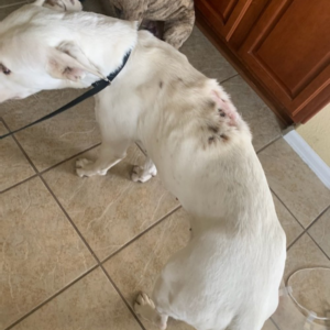 480873878_649997824380361_4084387805006284004_n