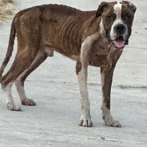 481227307_655119917201485_8598370387239589209_n