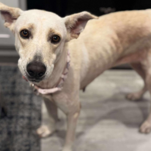 555562738_818682700845205_7882677877819059119_n