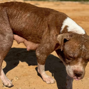 Untitled design (89)